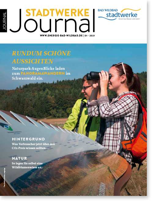 Bild: Stadtwerke Journal 1/2021